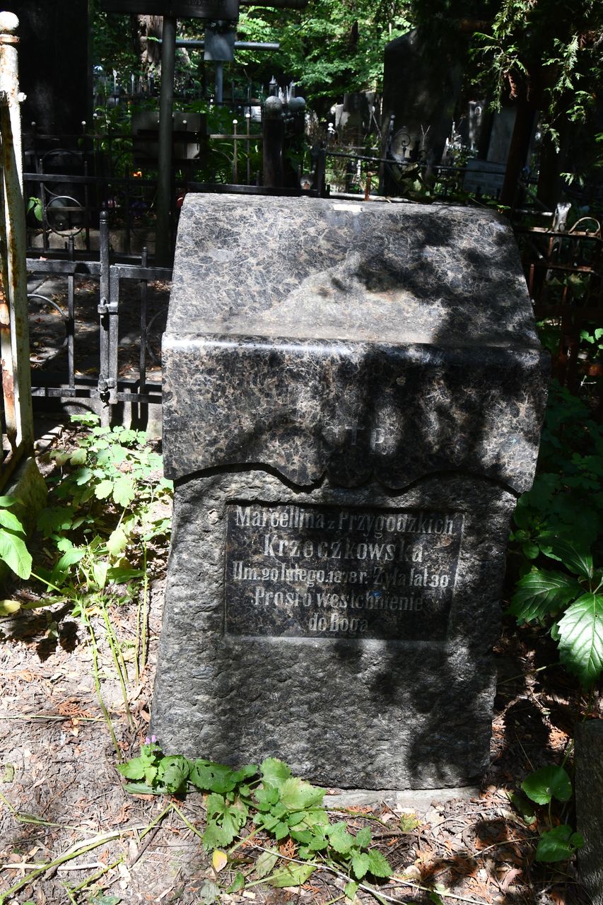 Fotografia przedstawiająca Tombstone of Marcelina Krzeczkowska