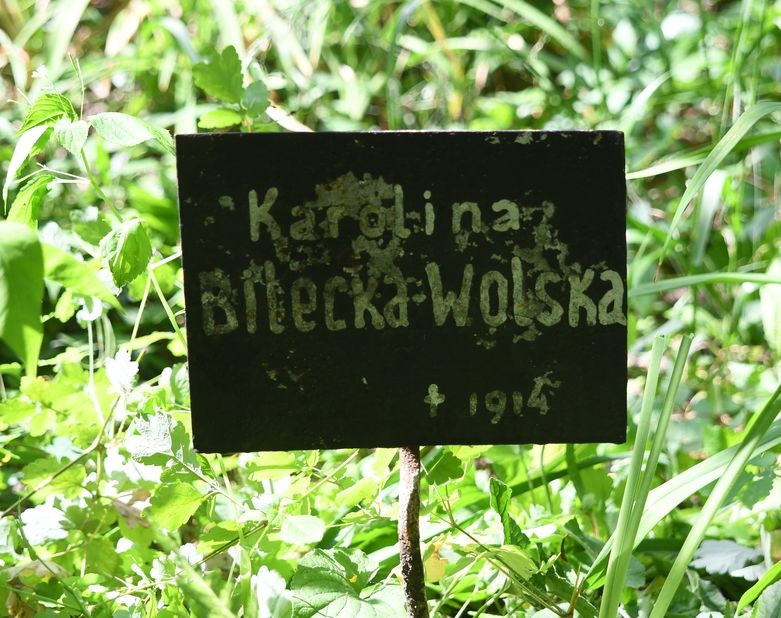 Fotografia przedstawiająca Nagrobek Karoliny Bieleckiej-Wolskiej