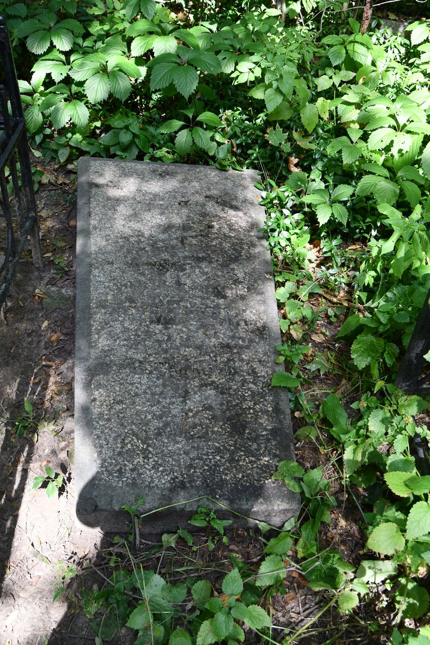 Fotografia przedstawiająca Tombstone of Zygmunt Damięcki