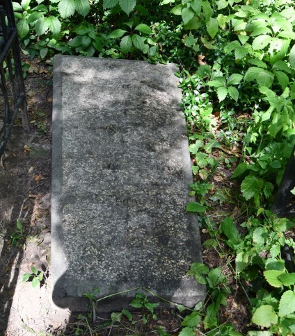 Nagrobek Zygmunta Damięckiego z inskrypcją i rytym krzyżem, otoczony zielenią.