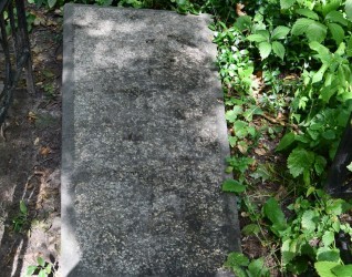 Nagrobek Zygmunta Damięckiego z inskrypcją i rytym krzyżem, otoczony zielenią.