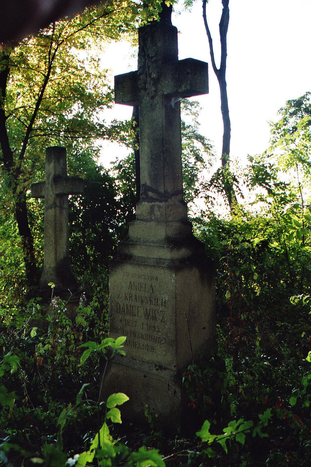 Nagrobek Anieli Dancewicz, cmentarz miejski w Buczaczu, Ukraina