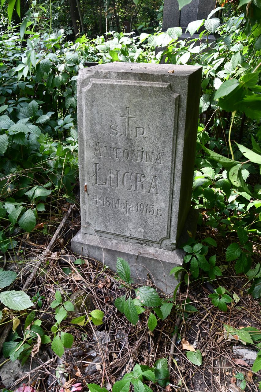 Fotografia przedstawiająca Tombstone of Antonina Lucka