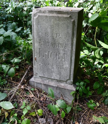 Nagrobek Antoniny Łuckiej z wyrytym napisem i krzyżem, otoczony zielenią. Podstawa ma lekko ścięte górne krawędzie.