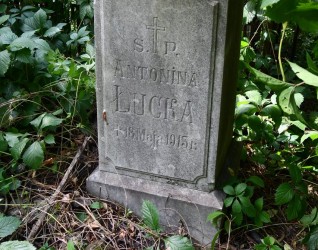Nagrobek Antoniny Łuckiej z wyrytym napisem i krzyżem, otoczony zielenią. Podstawa ma lekko ścięte górne krawędzie.