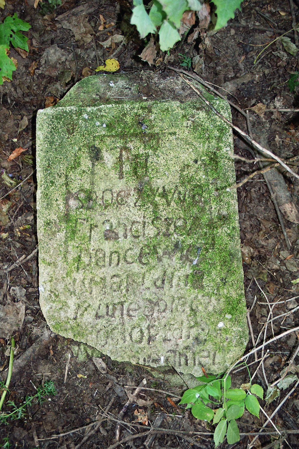Tombstone of František Dancevich, Bučač town cemetery, Ukraine
