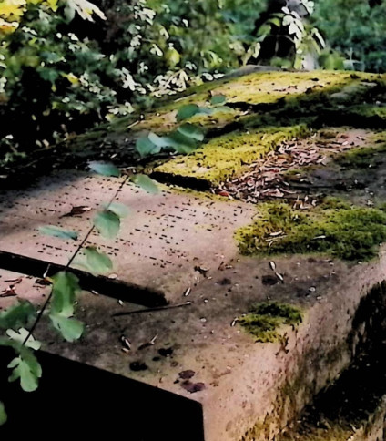 Nagrobek pokryty mchem, otoczony zielenią, z płaskorzeźbionym krzyżem i inskrypcją w dwóch kolumnach.