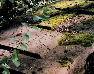 Nagrobek pokryty mchem, otoczony zielenią, z płaskorzeźbionym krzyżem i inskrypcją w dwóch kolumnach.