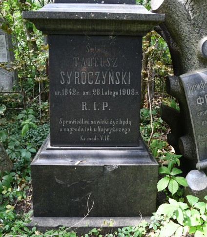 Nagrobek Tadeusza Syroczyńskiego z inskrypcją zawierającą daty urodzenia i śmierci, otoczony zielenią.