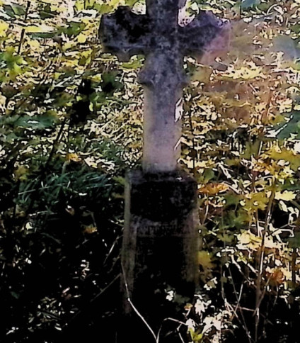 Nagrobek Jacentego Mazurkiewicza z fazowanym krzyżem na zwężającym się cokole, otoczony gęstą roślinnością.