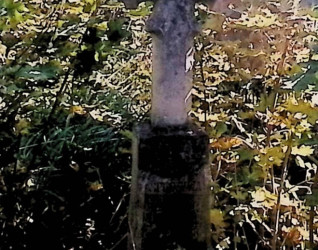 Nagrobek Jacentego Mazurkiewicza z fazowanym krzyżem na zwężającym się cokole, otoczony gęstą roślinnością.