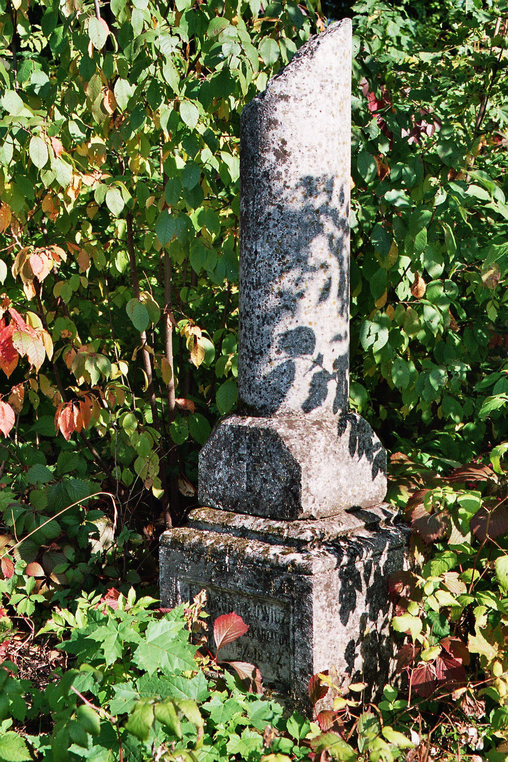 Nagrobek Adama Obtułowicza, cmentarz miejski w Buczaczu, stan z 2005 r.