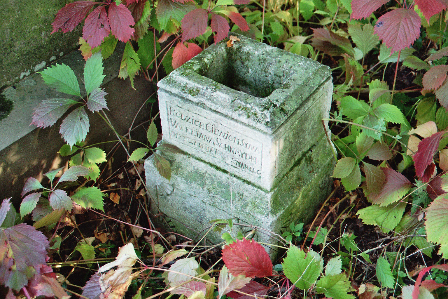 Tombstone of Valerian Schneider, Buczacz city cemetery, as of 2005.