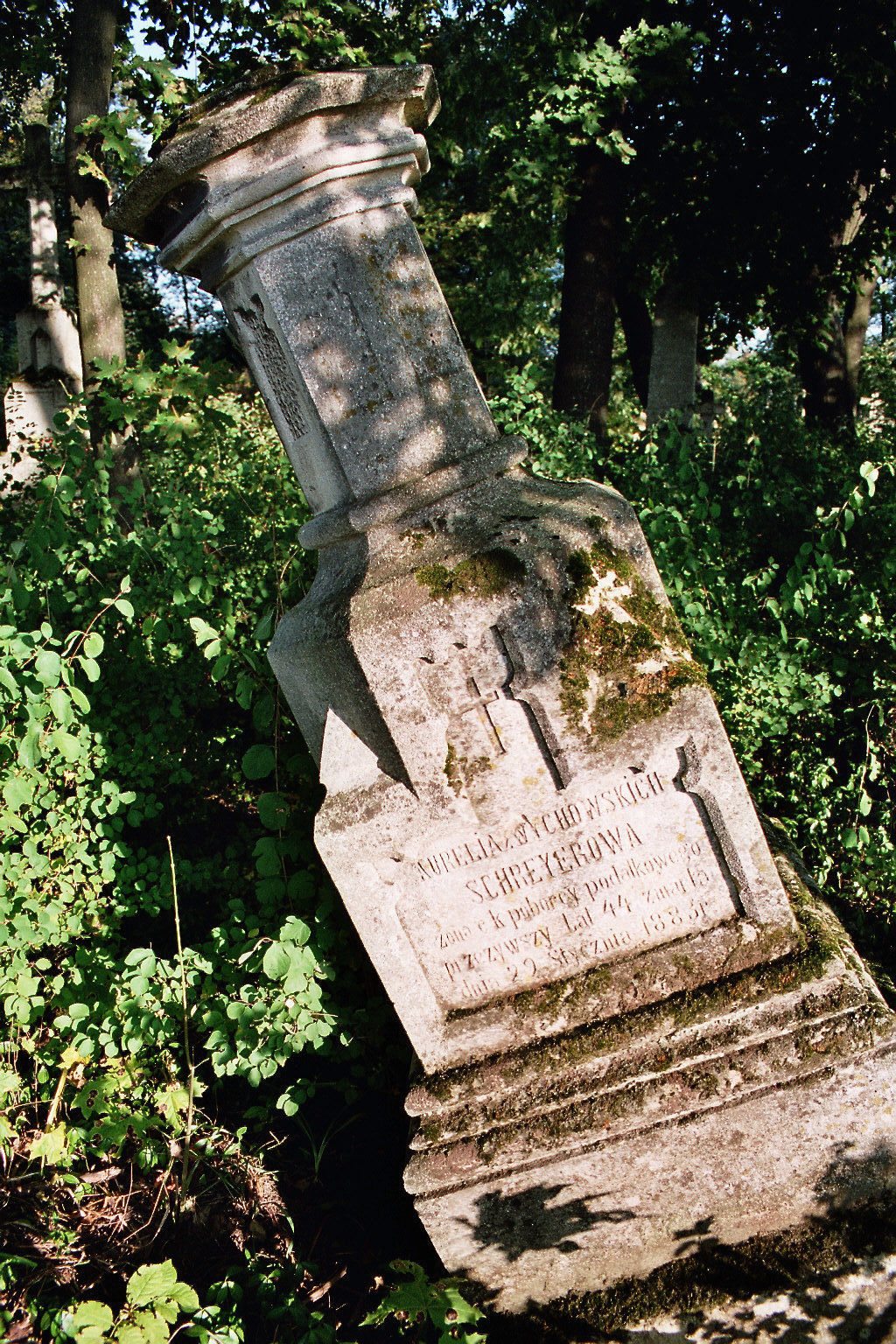 Nagrobek Aurelii Schreier, cmentarz miejski w Buczaczu, stan z 2005 r.