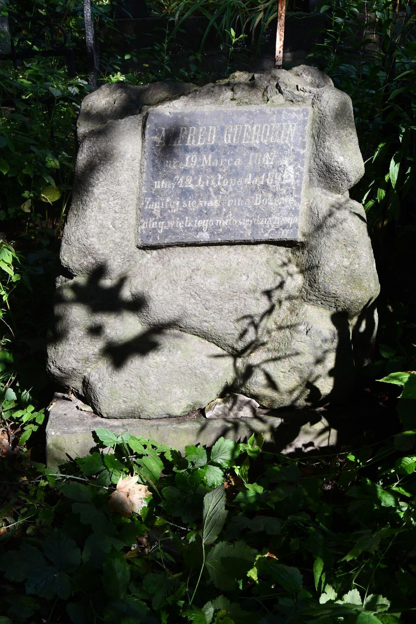 Fotografia przedstawiająca Tombstone of Alfred Guerquin