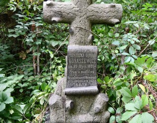 Nagrobek Franciszki Konaszewicz z krzyżem przypominającym pień drzewa. Z przodu tablica w reliefie w formie zwoju z inskrypcją. Cokół stylizowany na stos kamieni, otoczony zielenią.