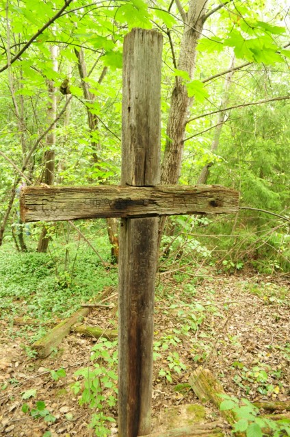 Nagrobek Antoniego Roli, cmentarz w Puźnikach