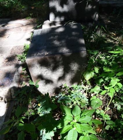 Nagrobek Władysława Rostockiego z krzyżem na profilowanym cokole i dwustopniowej podstawie. Drugi stopień z inskrypcją leży obok grobu. Otoczony zielenią.