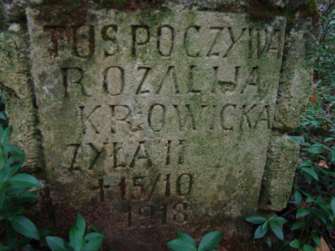 Nagrobek Rozalii Krowickiej, cmentarz w Puźnikach, stan z roku 2008