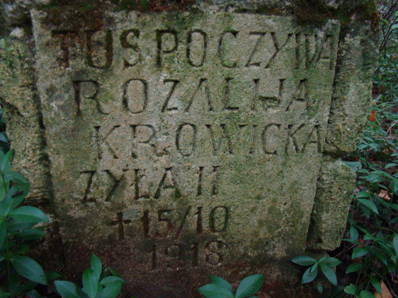 Tombstone of Rozalia Krowicka, cemetery in Puzniki, state from 2008