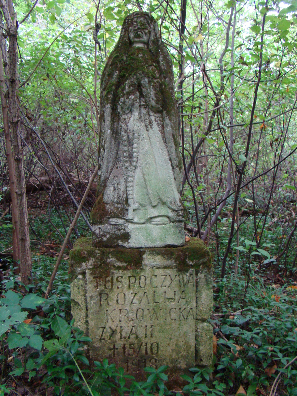 Nagrobek Rozalii Krowickiej, cmentarz w Puźnikach, stan z roku 2008