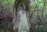 Fotografia przedstawiająca Nagrobek Rozalii Krowickiej