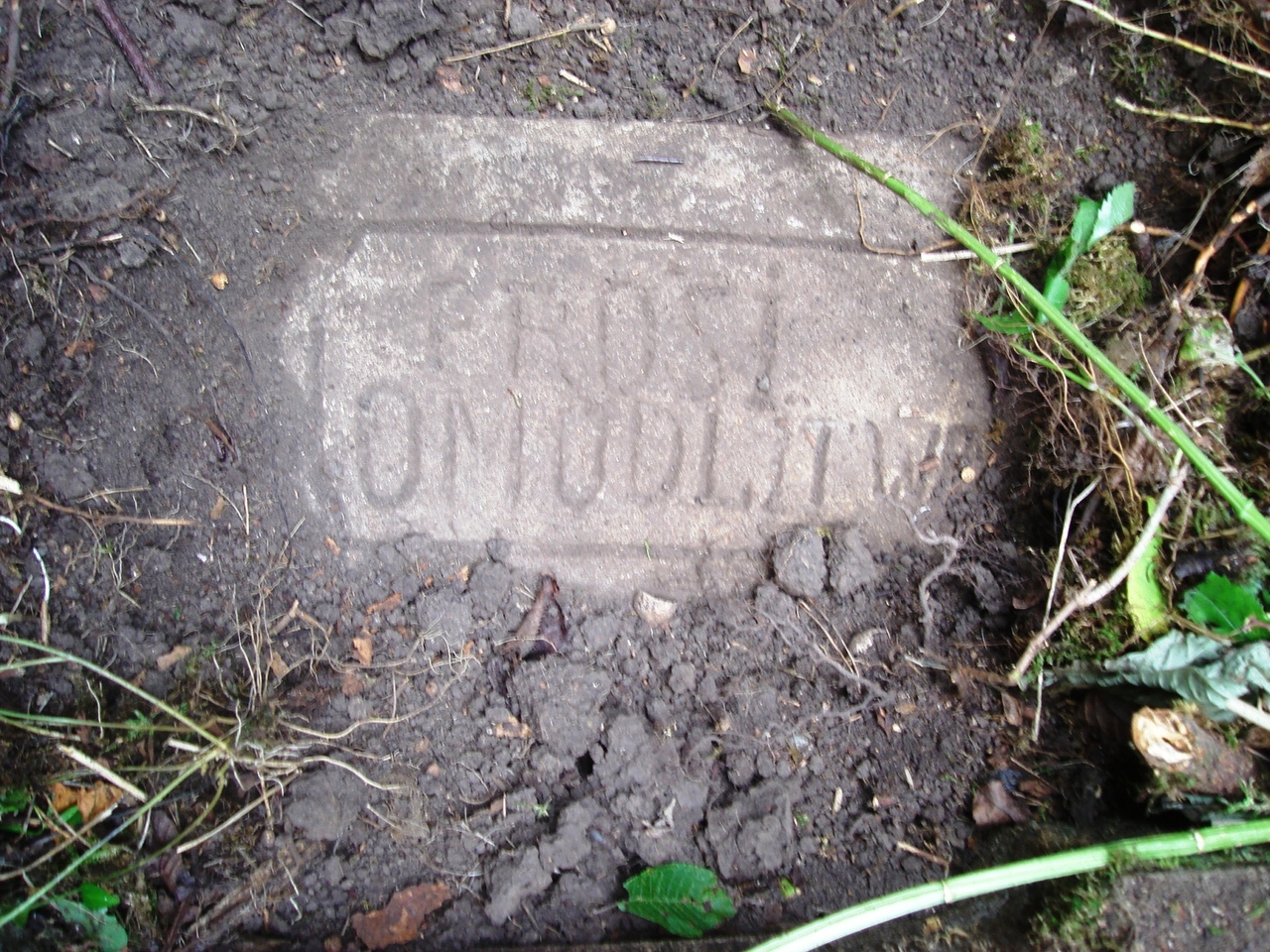 Tombstone of Rudolf Nowicki, cemetery in Puzniki, state from 2008