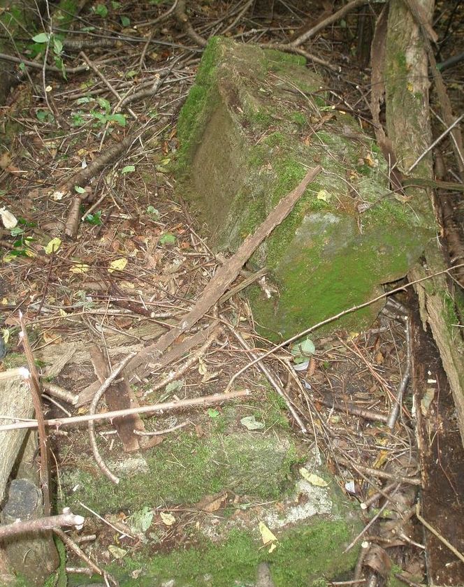 Tombstone of Ludwik Tokarski in Puzniki