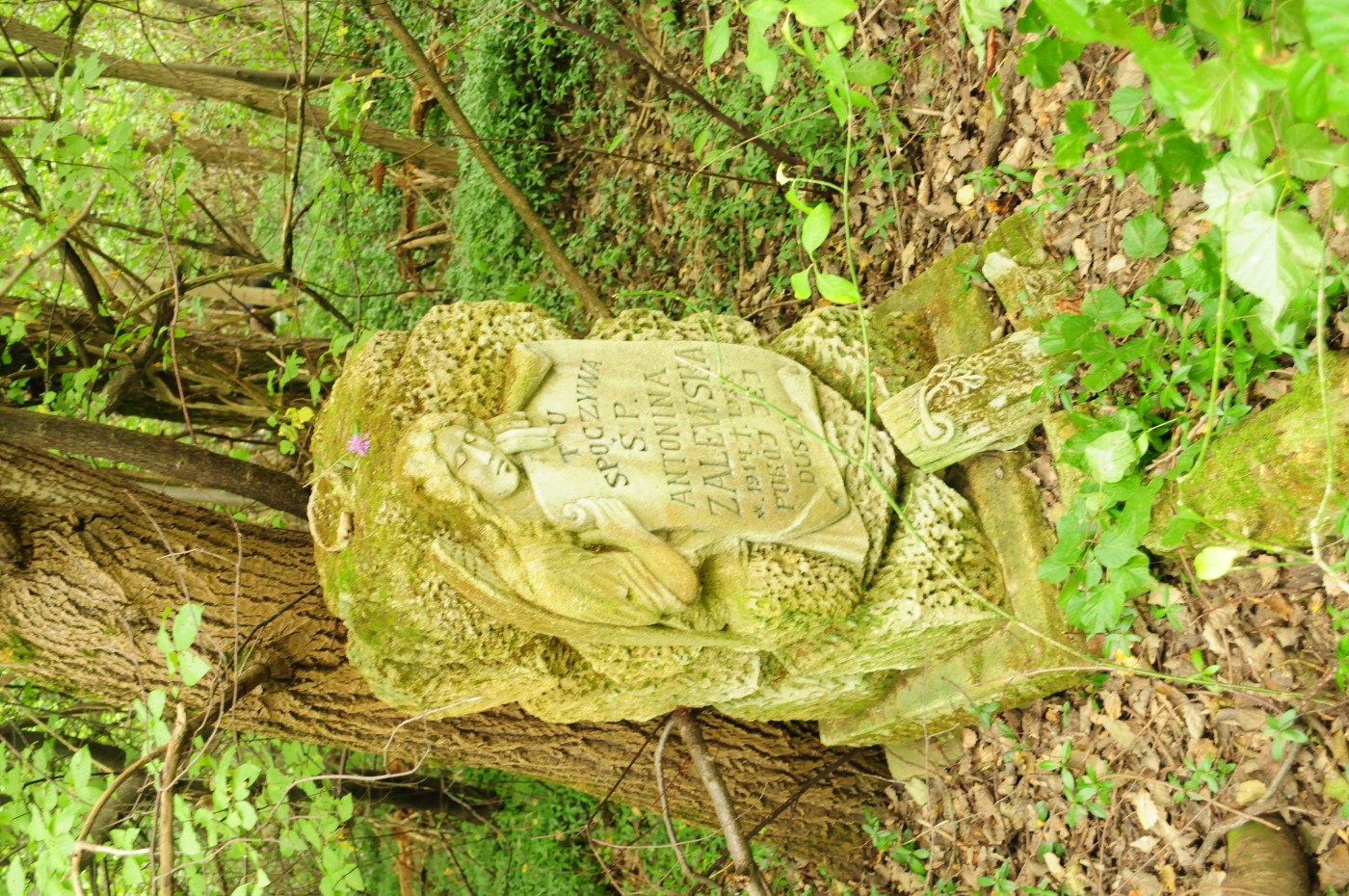 Nagrobek Antoniny Zalewskiej, cmentarz w Puźnikach, stan z 2008 r.