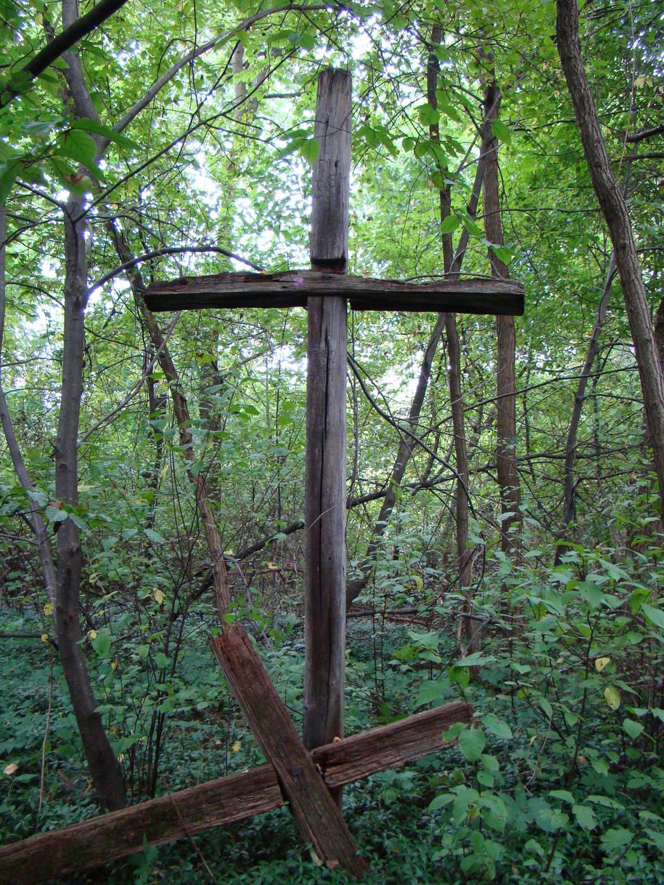 Nagrobek N.N., cmentarz w Puźnikach, stan z roku 2008