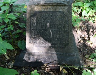 Nagrobek Antoniny Jakuszewskiej z krzyżem na cokole i tablicą inskrypcyjną w reliefie z ściętymi narożami, otoczony zielenią.