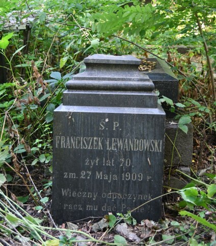 Nagrobek Franciszka Lewandowskiego z wyrytym napisem, otoczony zarośniętą roślinnością. Kamień ma stopniowaną podstawę i cokół o ściętych krawędziach.