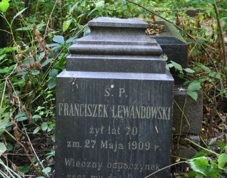 Nagrobek Franciszka Lewandowskiego z wyrytym napisem, otoczony zarośniętą roślinnością. Kamień ma stopniowaną podstawę i cokół o ściętych krawędziach.