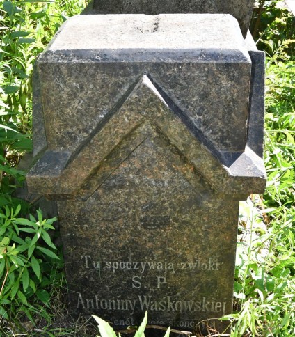 Nagrobek Antoniny Waśkowskiej z daszkowym zwieńczeniem i rytym napisem z przodu. Otoczony zielenią.