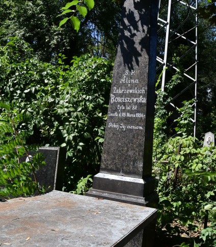 Grób oznaczony obeliskiem na cokole z inskrypcją dla Aliny Rosciszewskiej. Cokół ma profilowane krawędzie i jest przykryty węższą płytą. Otoczony zielenią.