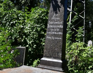 Grób oznaczony obeliskiem na cokole z inskrypcją dla Aliny Rosciszewskiej. Cokół ma profilowane krawędzie i jest przykryty węższą płytą. Otoczony zielenią.