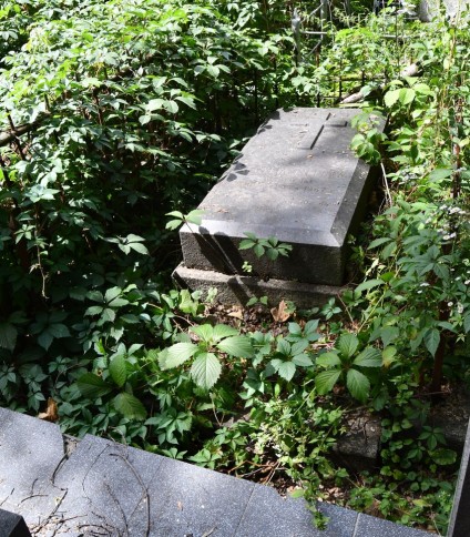 Nagrobek Cecylii Pileckiej otoczony zarośniętą roślinnością. Kamienna płyta z reliefem krzyża i rytym napisem. Widoczne pozostałości metalowego ogrodzenia z grotami.