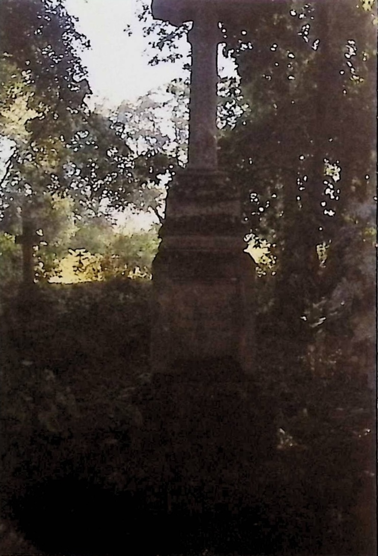 Photo montrant Tombstone of Franciszek Chrzanowski