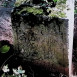 Fotografia przedstawiająca Tombstone of Augusta and Josef Mo[r]aski