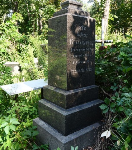 Nagrobek Baltazara Krzyżanowskiego z inskrypcją na trzystopniowym cokole otoczony zielenią.