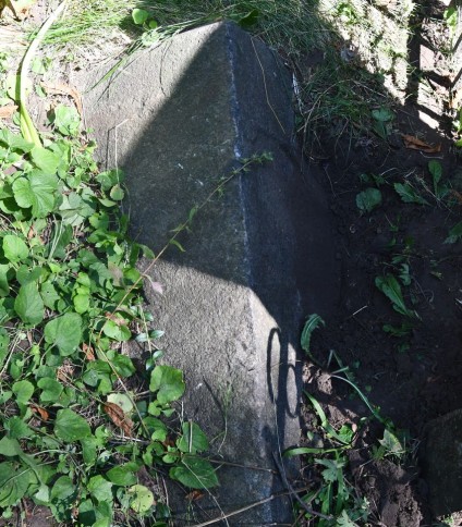 Kamienny cokół o ściętych górnych krawędziach, otoczony trawą i roślinami. Na przedniej płycinie naroża ścięte ćwierćkoliście z wyrytą inskrypcją.