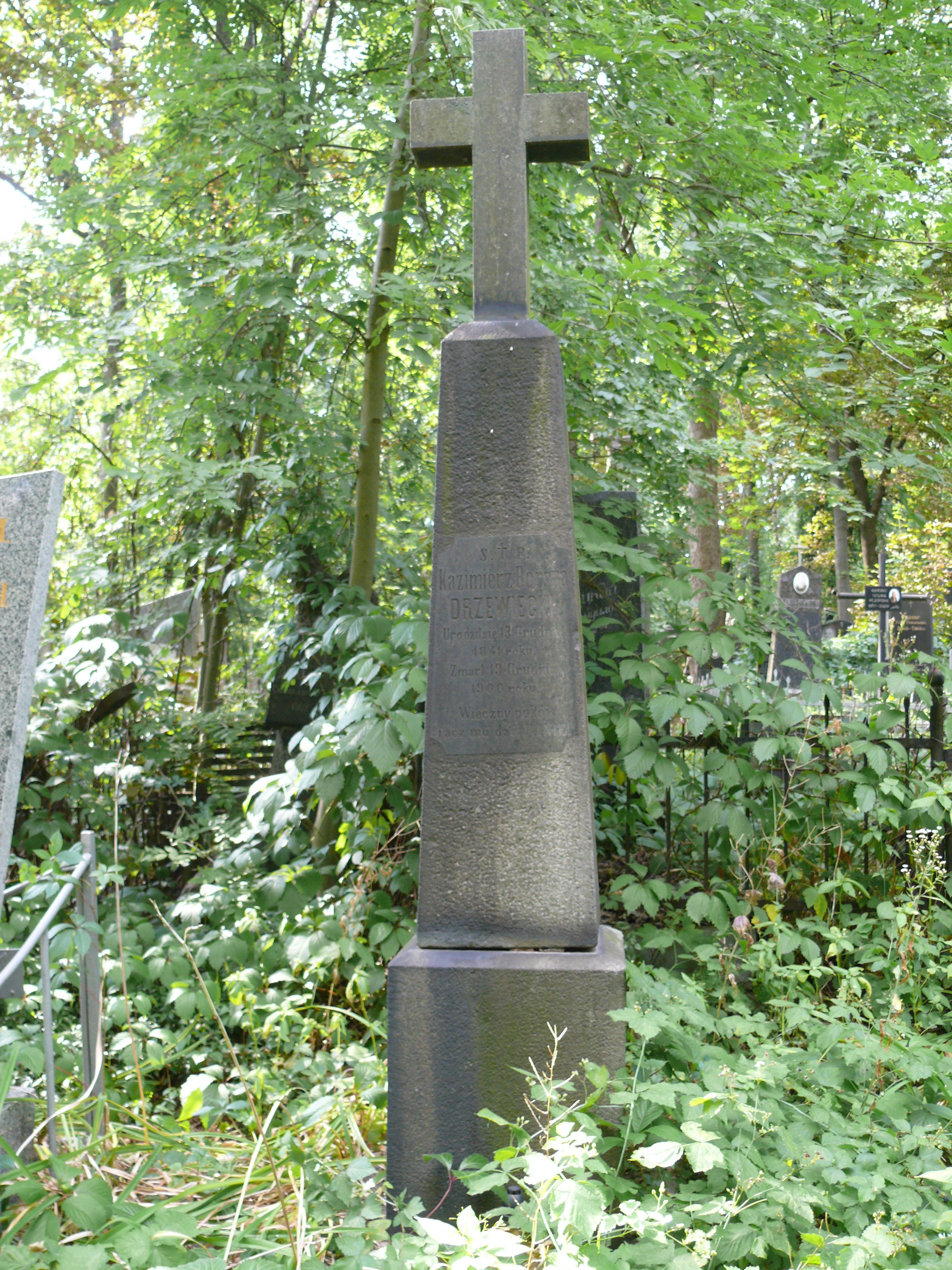 Photo montrant Tombstone of Kazimierz Drzewiecki