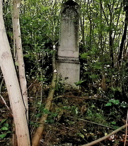 Nagrobek Zofii i Mikołaja Hul Winnickich z obeliskiem na cokole, tablicą o łuku wklęsło-wypukłym i wyrytym krzyżem, otoczony gęstą roślinnością.