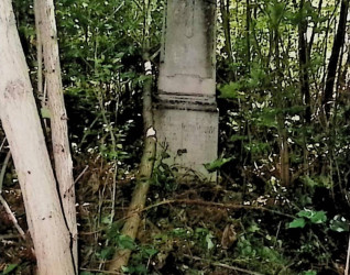 Nagrobek Zofii i Mikołaja Hul Winnickich z obeliskiem na cokole, tablicą o łuku wklęsło-wypukłym i wyrytym krzyżem, otoczony gęstą roślinnością.