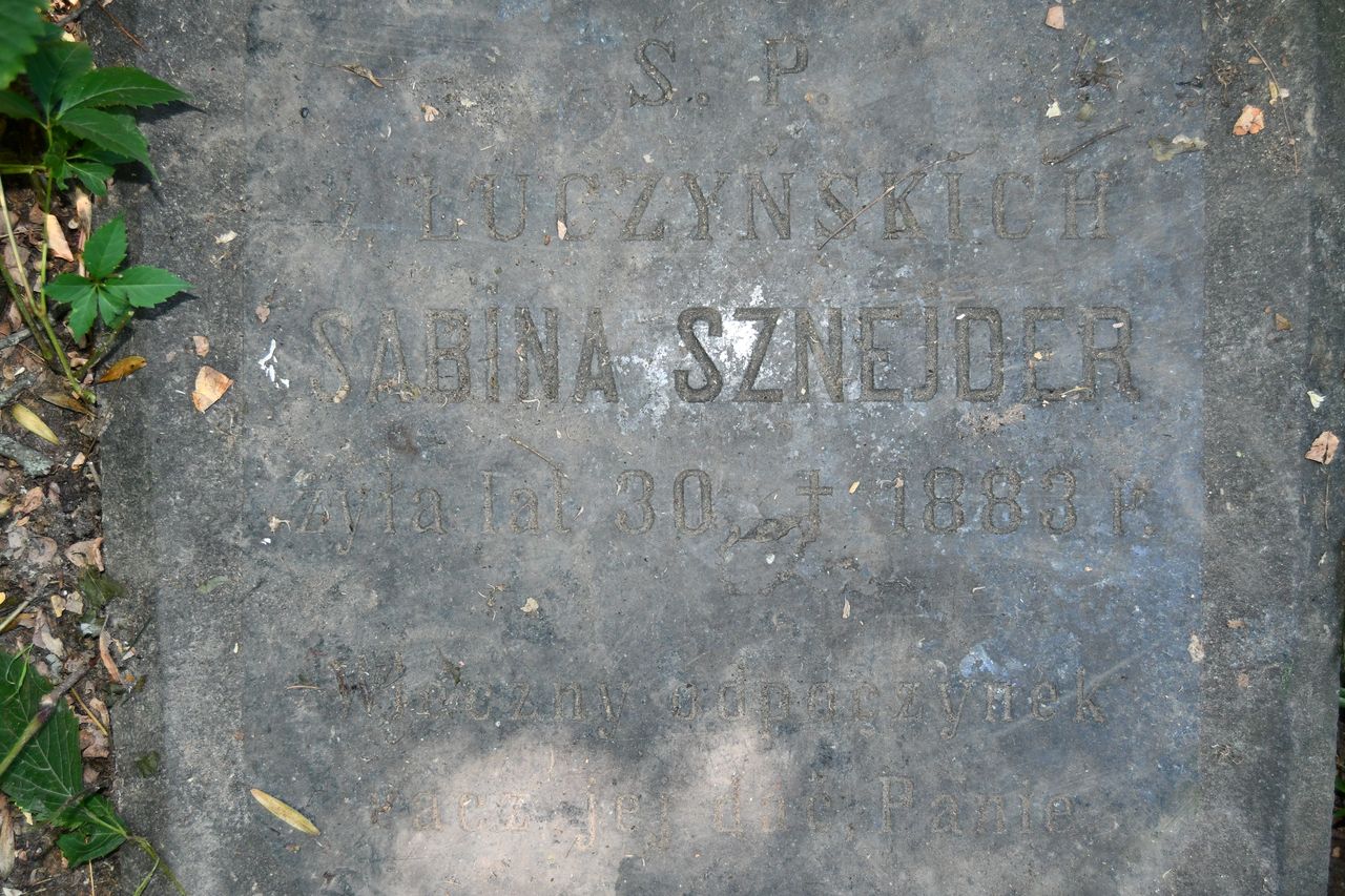 Photo montrant Tombstone of Sabina Sznejder