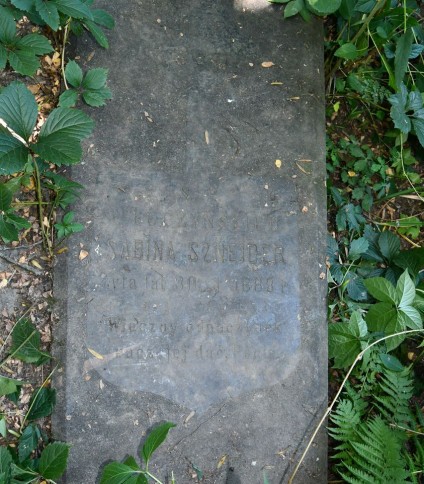 Nagrobek Sabiny Sznejder z inskrypcją i reliefem łuku Tudorów, otoczony zielenią.