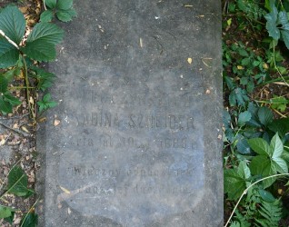 Nagrobek Sabiny Sznejder z inskrypcją i reliefem łuku Tudorów, otoczony zielenią.