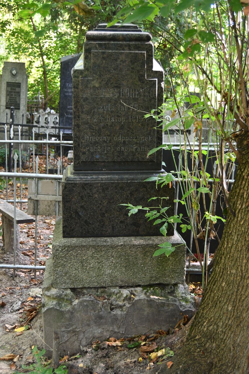 Fotografia przedstawiająca Tombstone of N.N. Boreyko