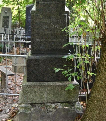 Nagrobek N.N. Boreyko z inskrypcją na dwustopniowym cokole otoczony zielenią. Górny stopień ma formy ostrosłupowe po bokach.