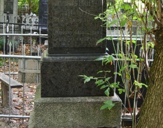 Nagrobek N.N. Boreyko z inskrypcją na dwustopniowym cokole otoczony zielenią. Górny stopień ma formy ostrosłupowe po bokach.